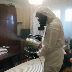 Дезинфекция от клопов в Горках Ленинских